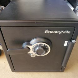 Sentry Safe 