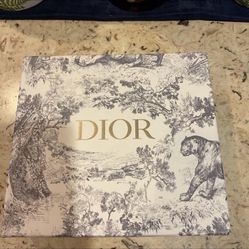 Light Grey Christian Dior Side Bag Unisex