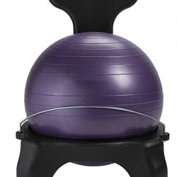 Balance Ball With Back Support Stand With Wheels