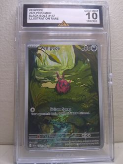 Pokémon slab
