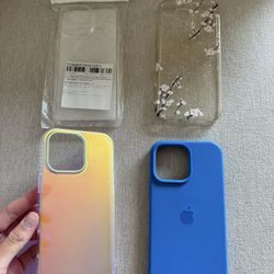 iPhone 16 Pro Max Cases 