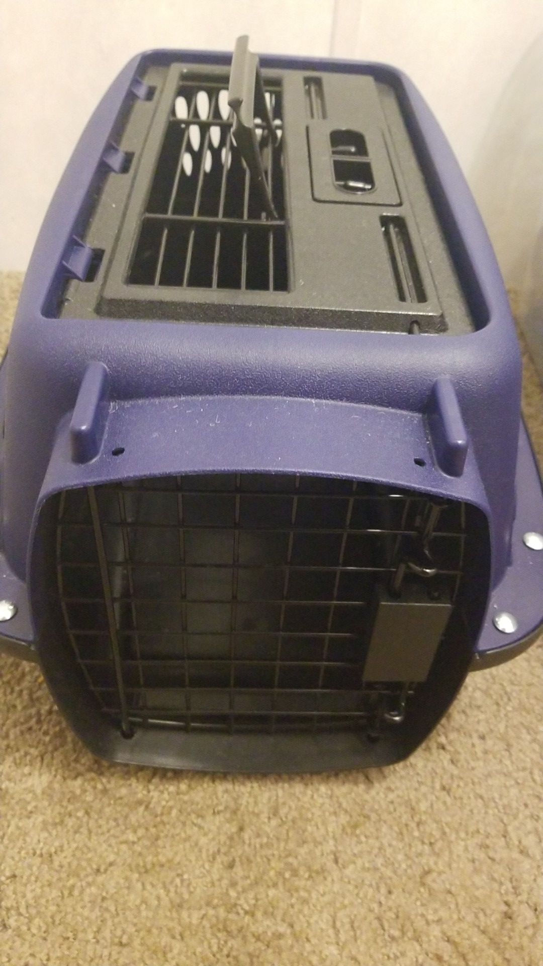 Kennel