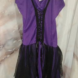 Fairy Costume size JR 7-9; used Once. 