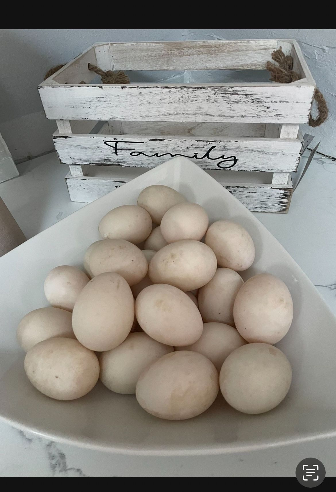 Hatching Eggs