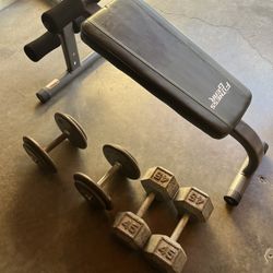 Dumbbell Weights With Bench Press 