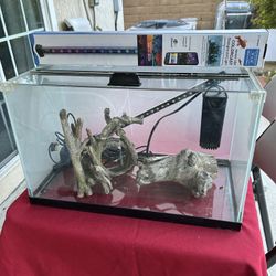 Fish Tank 