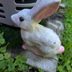 Bunny Statue