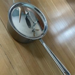 D5 All Clad 3 Qt Saucepan & Lid. 