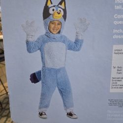 Bluey Halloween Costume