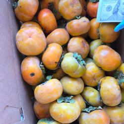 Fuyu Persimmons