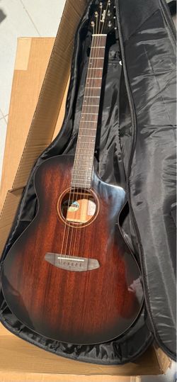 Breedlove Discovery S  guitar