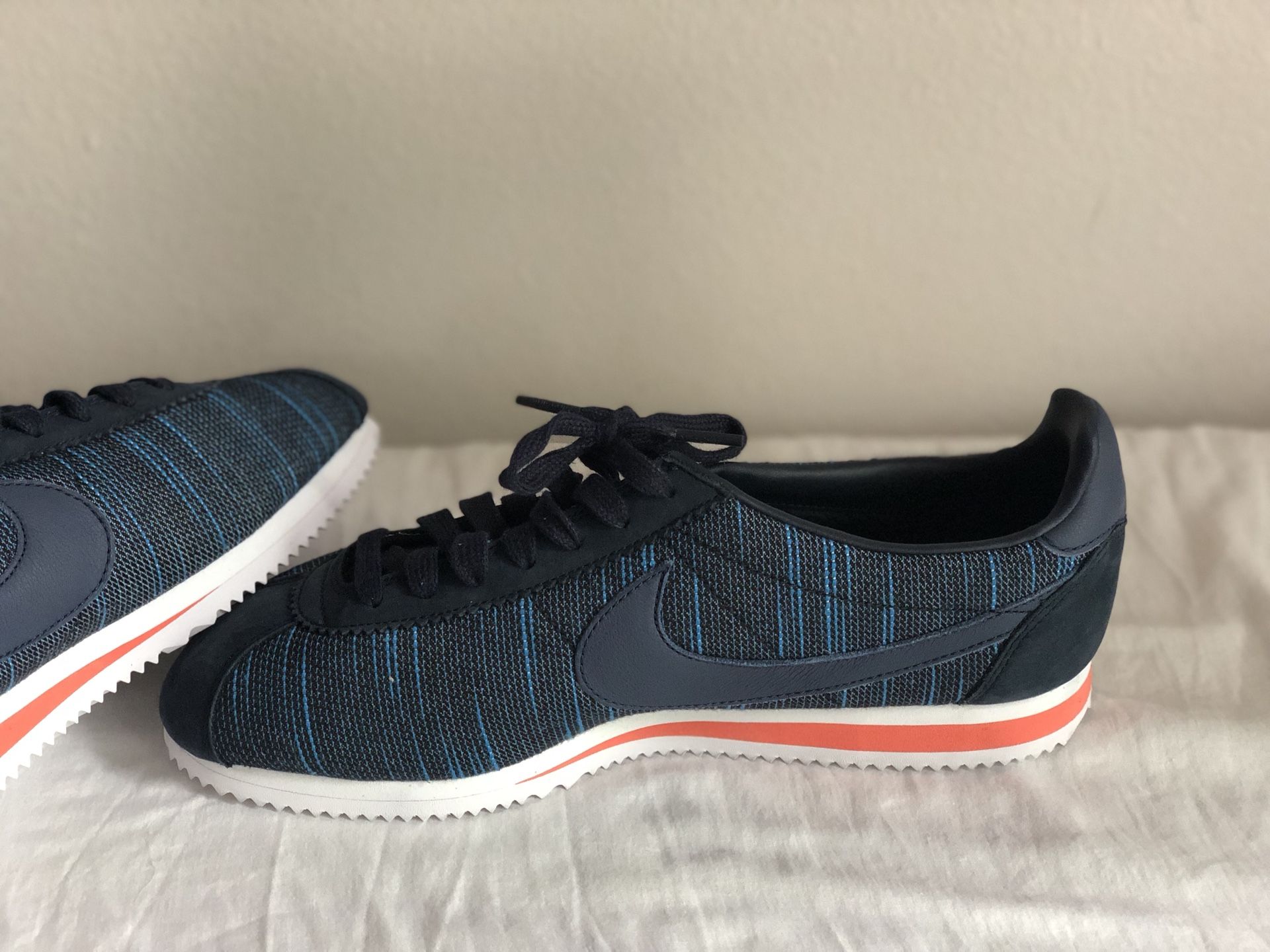 Brand New Nike shoe designer limited edition shoe. Size 10.5