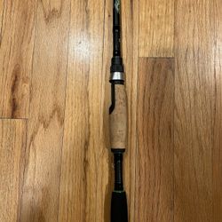 Dobyns Fury Spinning Rod (Mint)