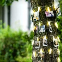 40 LED Clip Lights with remote