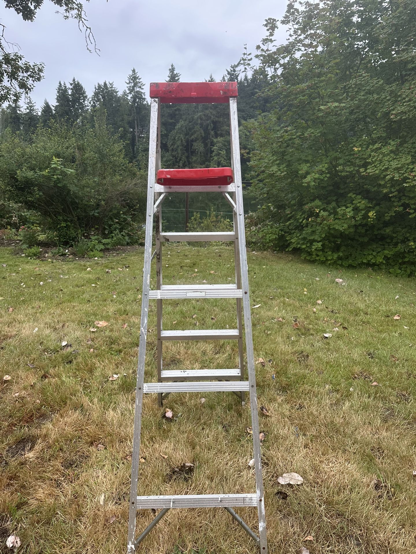 Ladder 6’