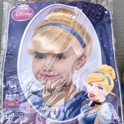 Cinderella costume