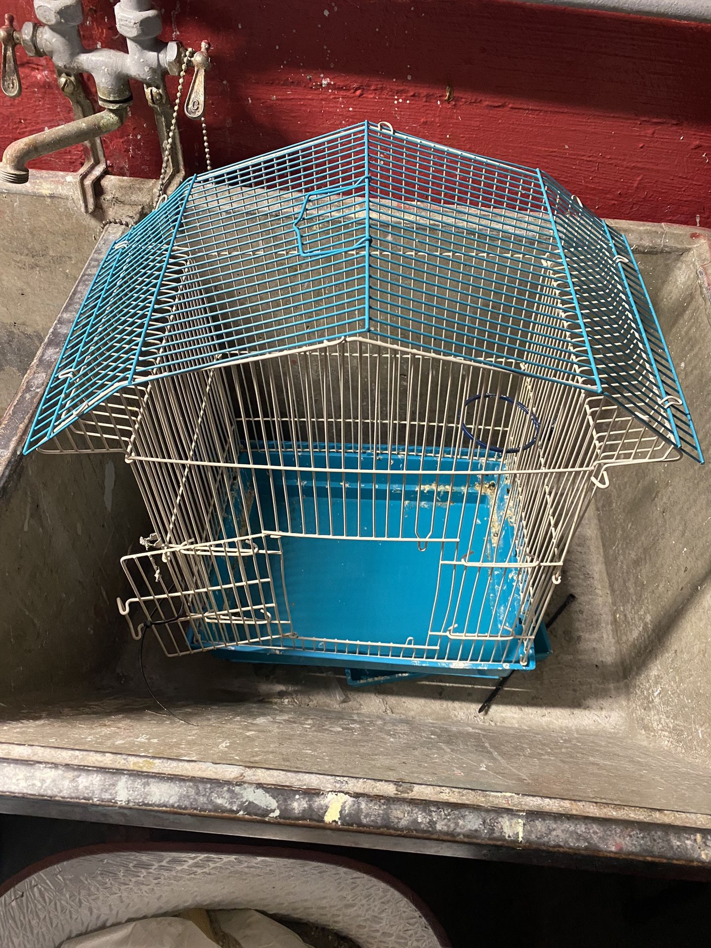 Bird Cages