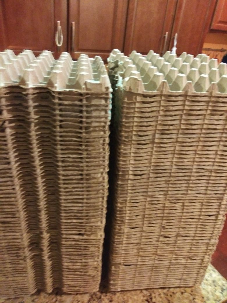 60 eggs flats