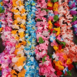 Hawaiian Luau Leis$$10 
