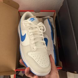 NIKE DUNK LOW RETRO