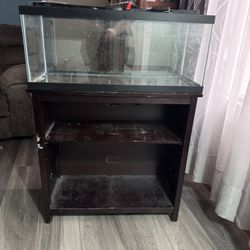 20 Gallon Tank