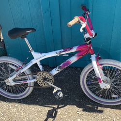 20 Inch BMX Bike 