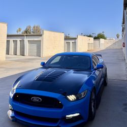 Mustang Hood