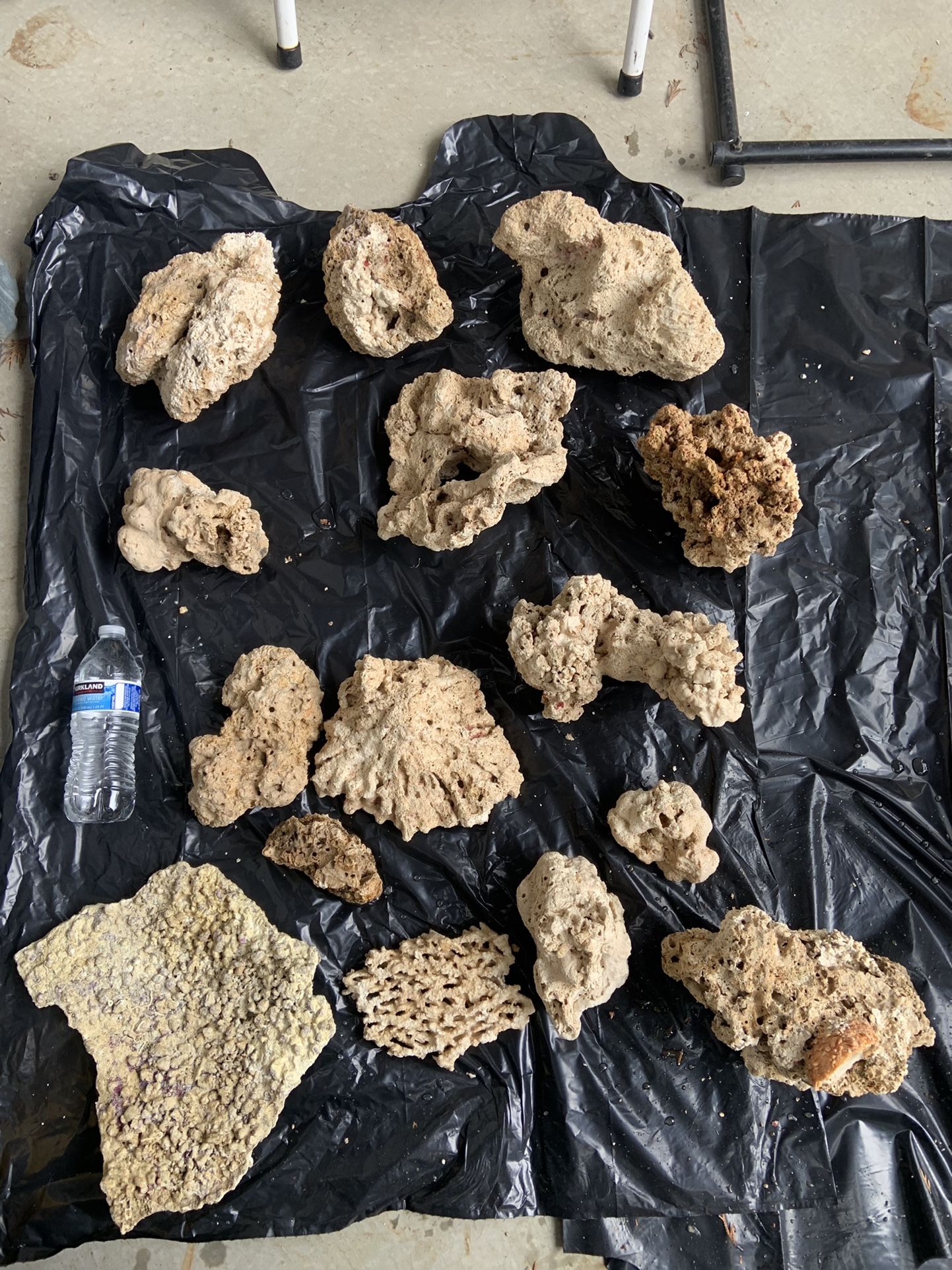 Fiji And Pukani Live Rock.