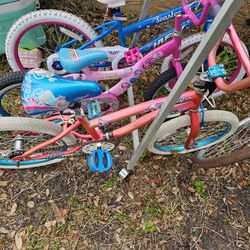 Little Girls Bike 