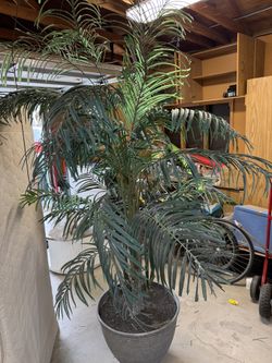 Beaumont Designs 8' Faux Areca Palm Tree