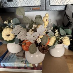 Fall Decor