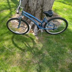 26” beach cruiser (7 speed)
