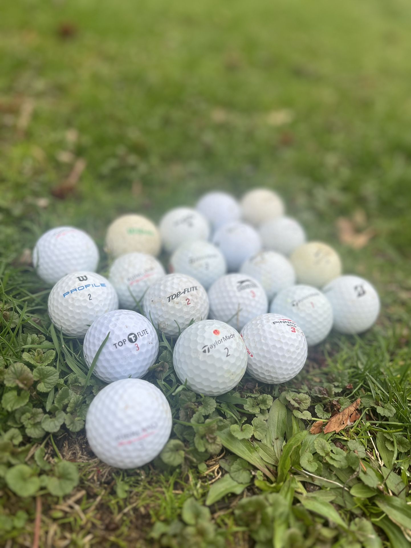 20 Golf Balls If You Buy Now I Will Throw In Some Free Ones