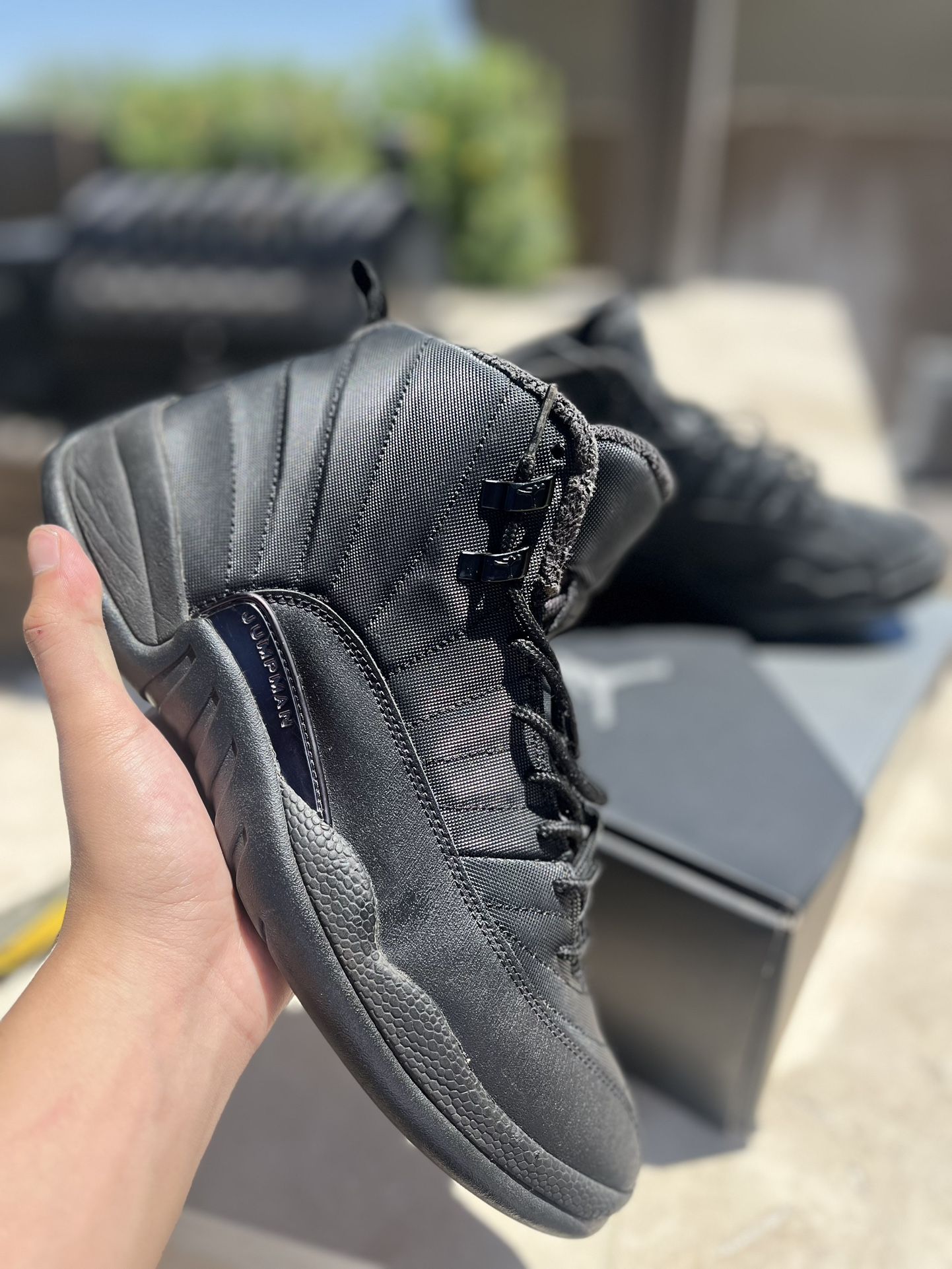 Jordan 12 “Triple Black”