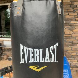100 LV Punching Bag 