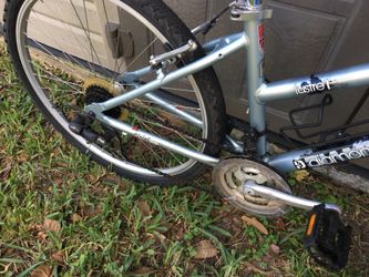 Dawes saratoga ladies clearance