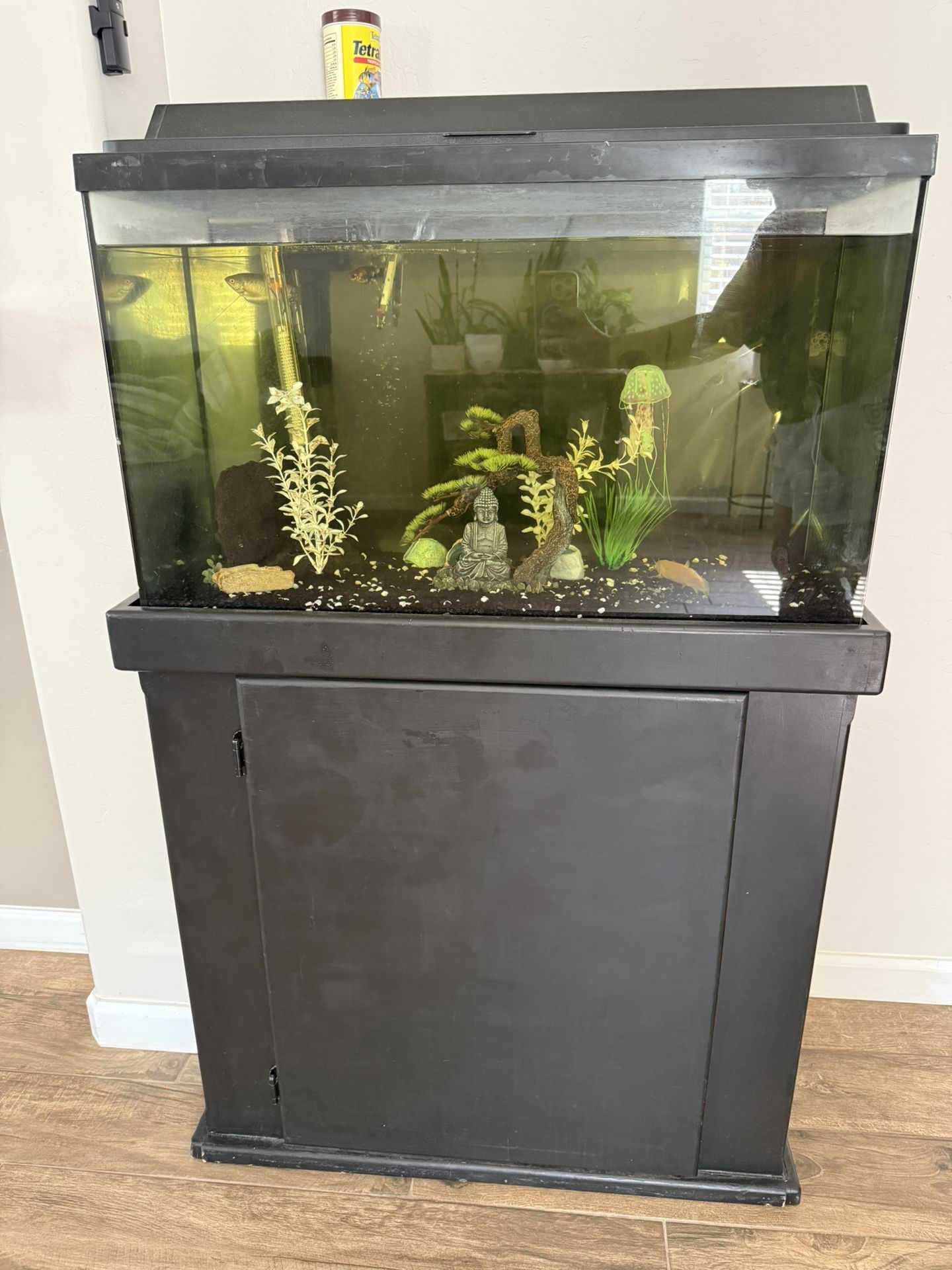Fish Tank