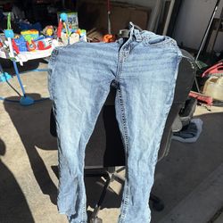 Stella in dreams embroidered jeans size 5/27