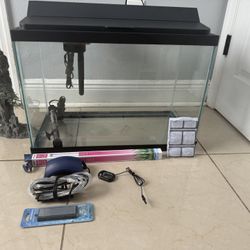 20 Gallon Aquarium Setup