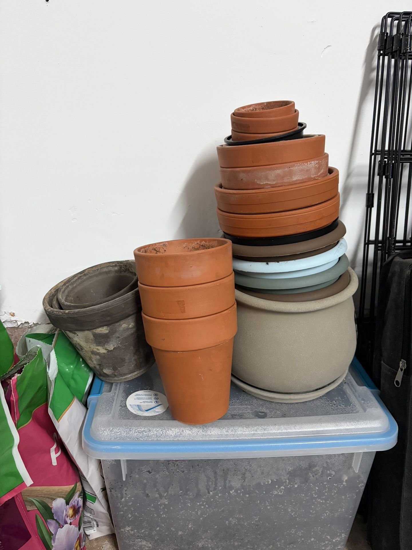 Plant Pots