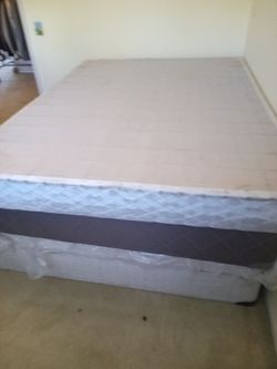 Free Full and Queen Sized Box Springs
