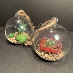 Two Artificial Mixed Succulent Plants Garden in Round Glass Terrarium Bowl