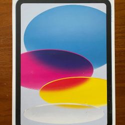IPAD 10TH GEN 256 GB