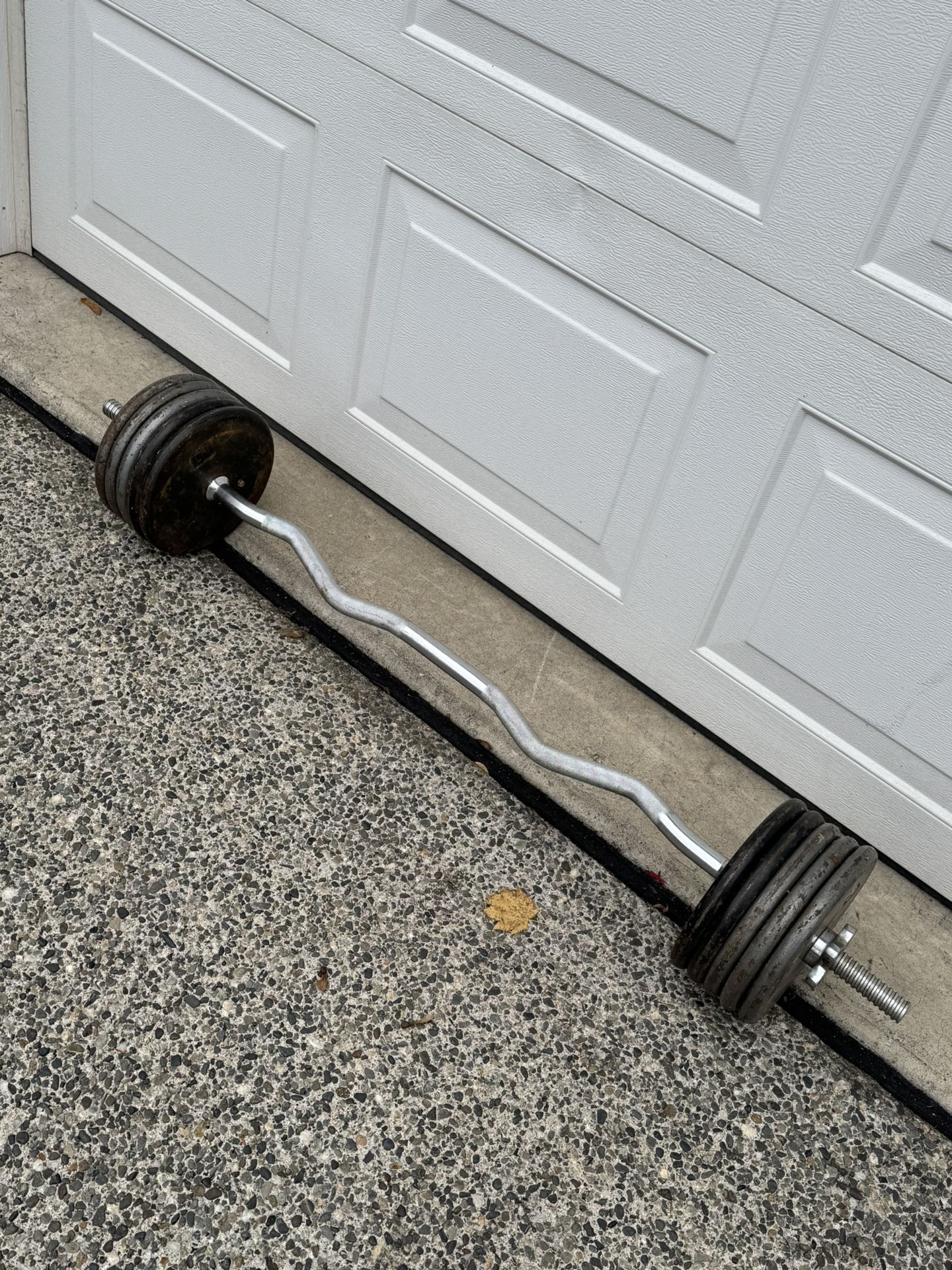 Ez curl bar with 100 bls weights