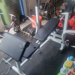 Weight Bench