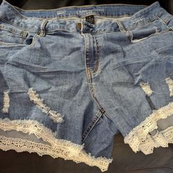 Plus Size Jeans/ Jean Shorts Lot 