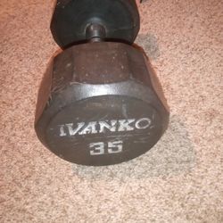 35 Pound Dumbbell 