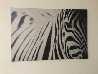 Canvas picture