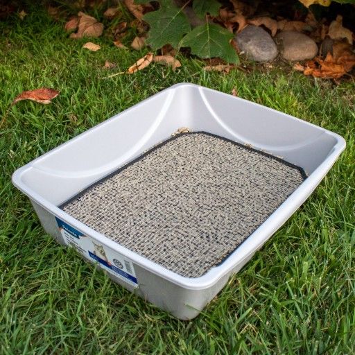 Cat Litter Box