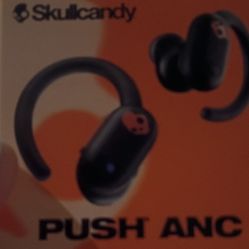 Skull Candy Earbuds